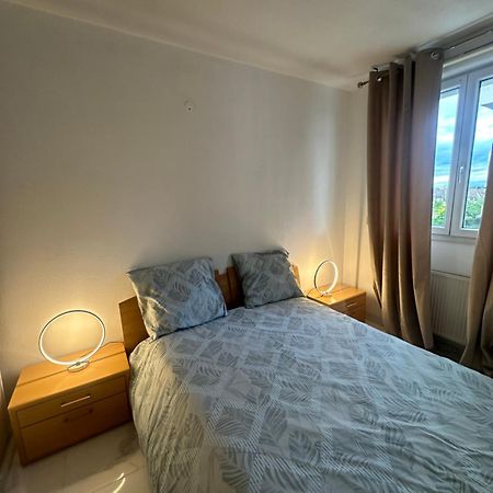 Tres Beau Trois Pieces Avec Vue Degagee Apartamento Estrasburgo Exterior foto