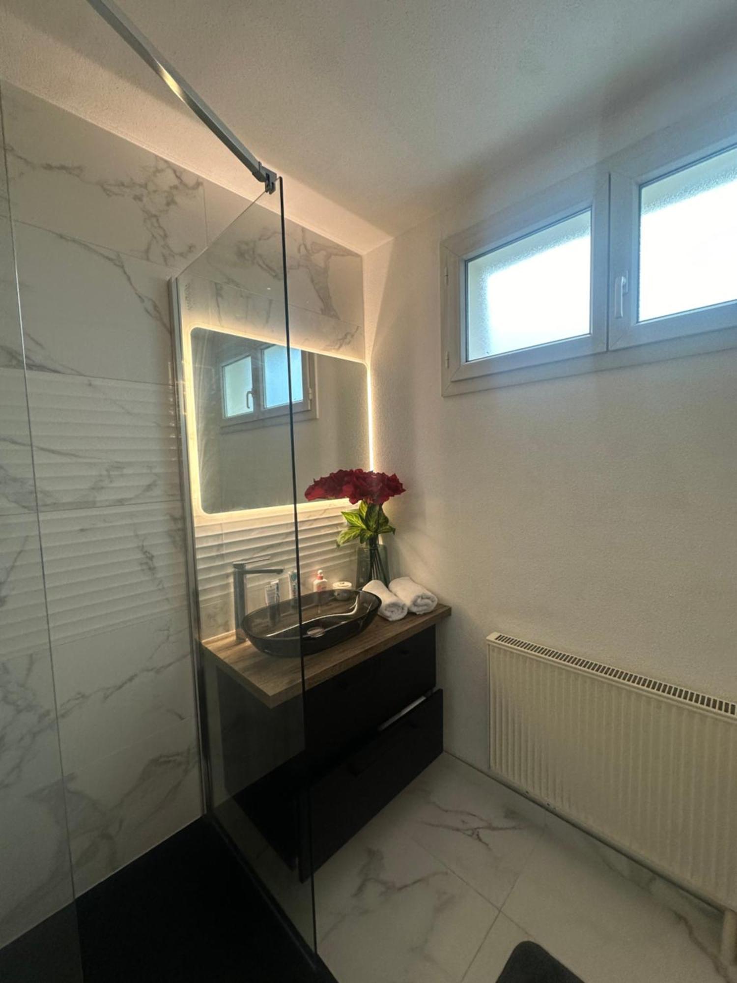 Tres Beau Trois Pieces Avec Vue Degagee Apartamento Estrasburgo Exterior foto
